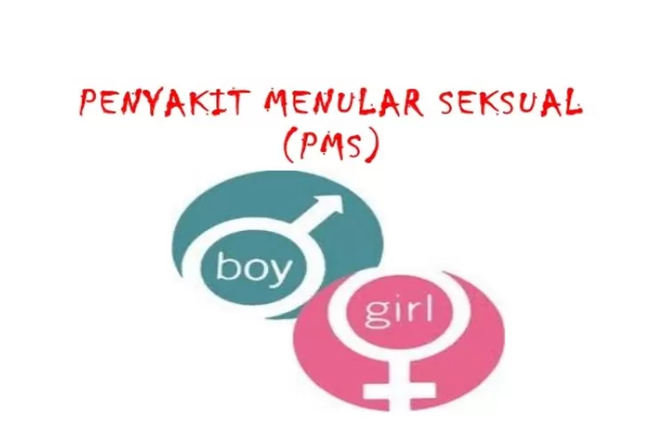 Penyakit Menular Seksual (PMS)